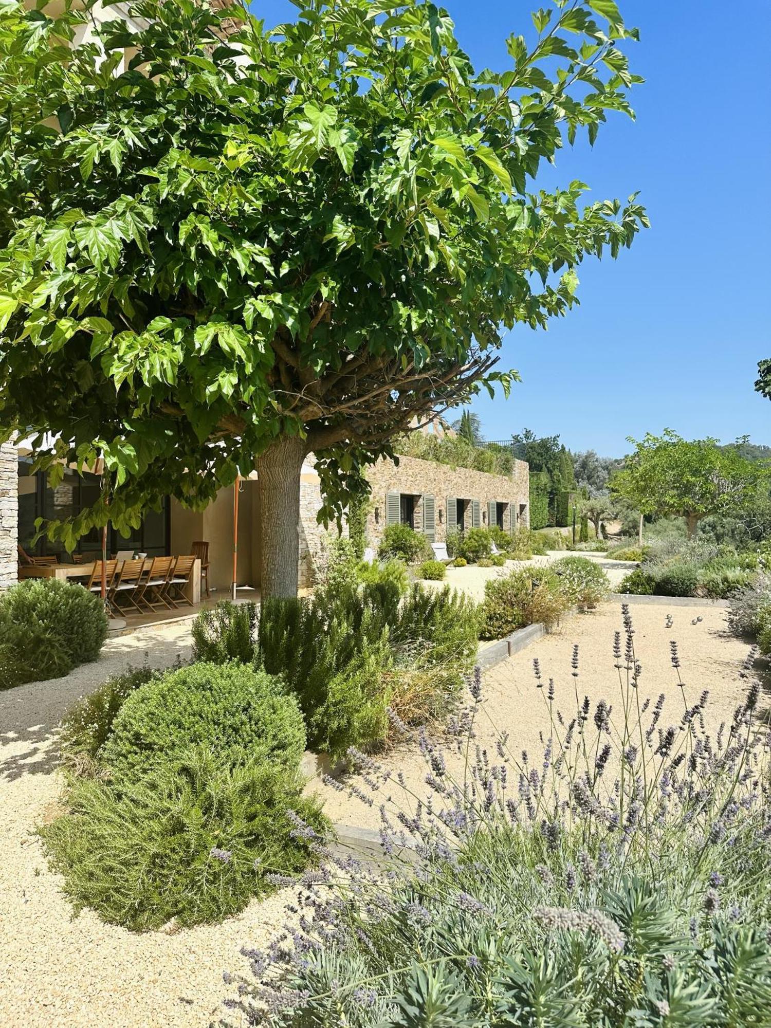 Le Mas Saint Michel Grimaud Bed & Breakfast Eksteriør bilde